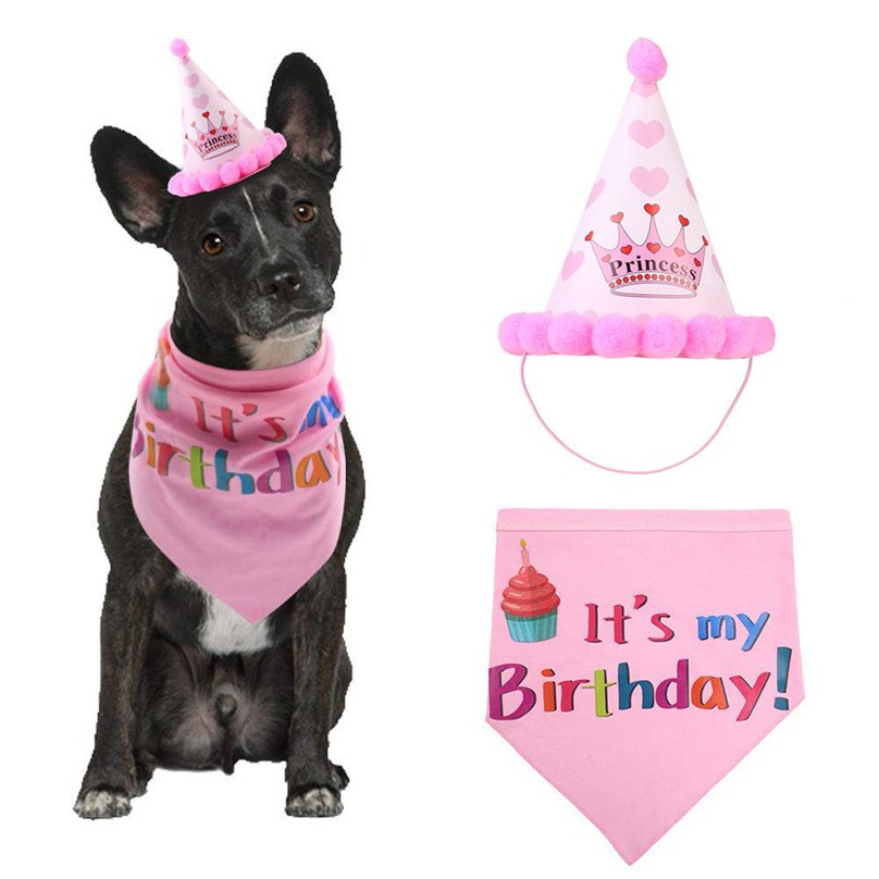 Pet Birthday Party Hat & Tie Costume - Headwear for Dogs & Cats