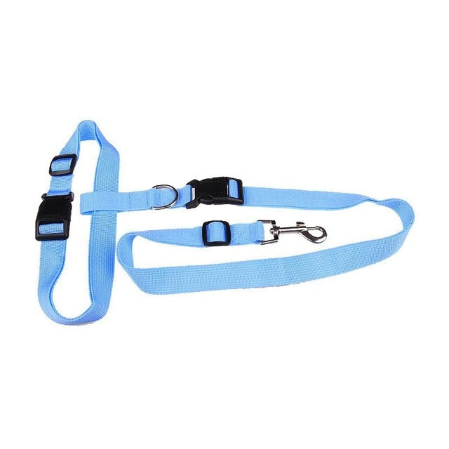 Hands-Free Dog Running Leash - Safe & Fashionable Jogging Lead