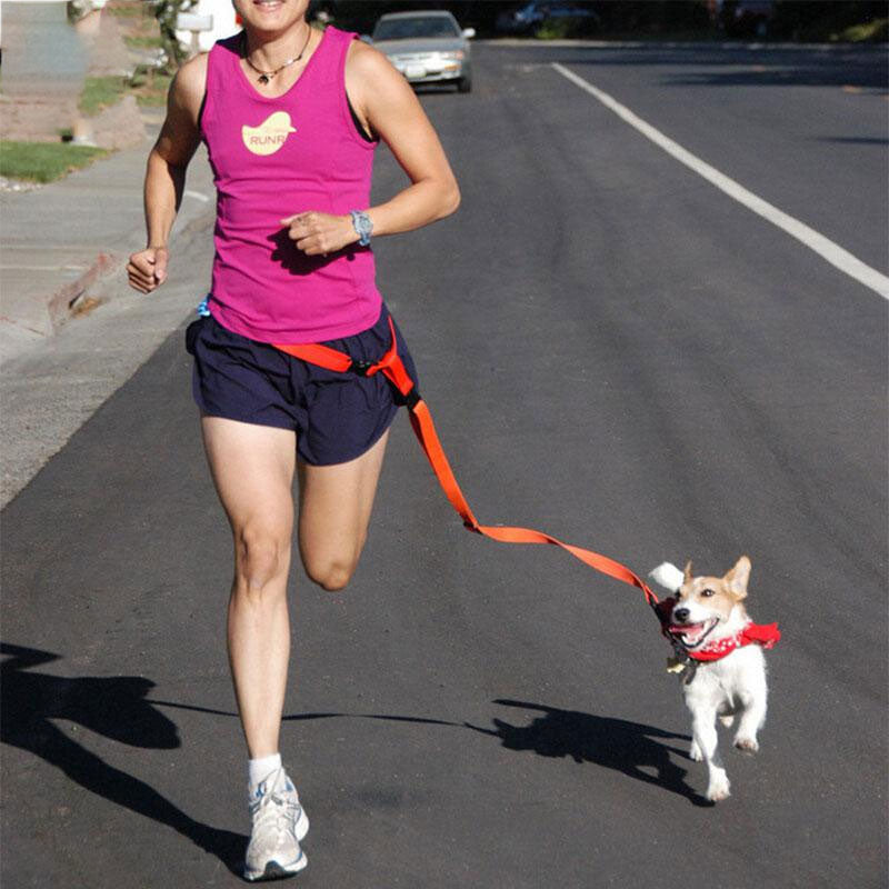 Hands-Free Dog Running Leash - Safe & Fashionable Jogging Lead