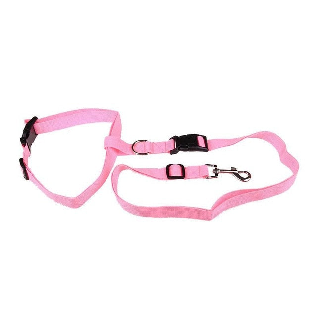 Hands-Free Dog Running Leash - Safe & Fashionable Jogging Lead