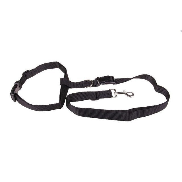 Hands-Free Dog Running Leash - Safe & Fashionable Jogging Lead