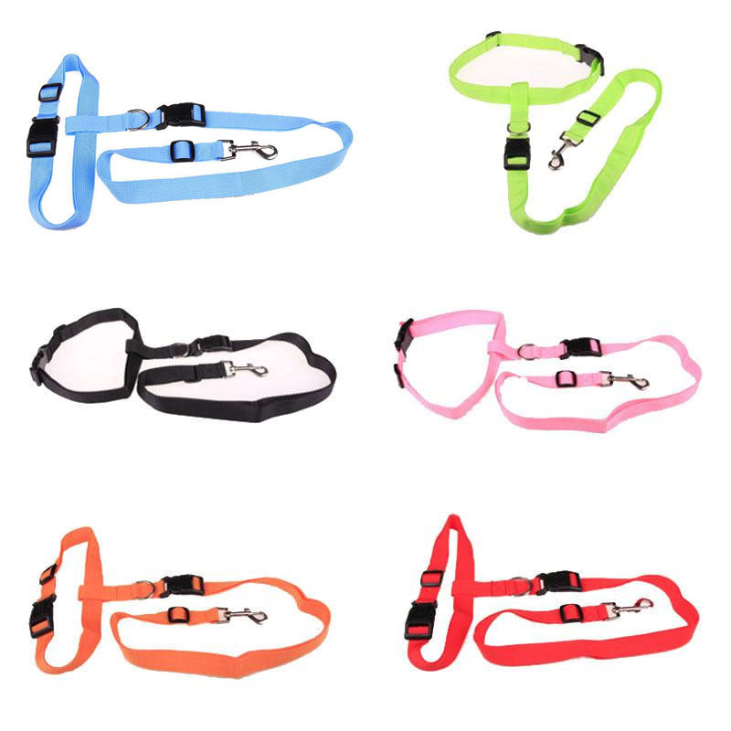 Hands-Free Dog Running Leash - Safe & Fashionable Jogging Lead