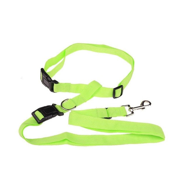Hands-Free Dog Running Leash - Safe & Fashionable Jogging Lead