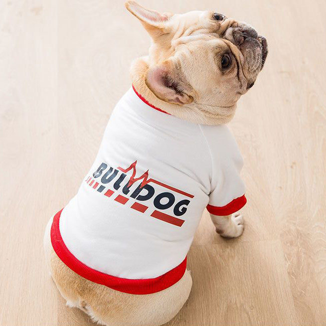 Bulldog & Small Dog Autumn Winter Jacket - Badge Design