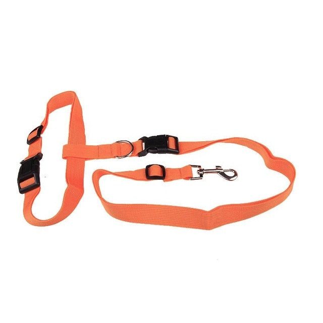 Hands-Free Dog Running Leash - Safe & Fashionable Jogging Lead