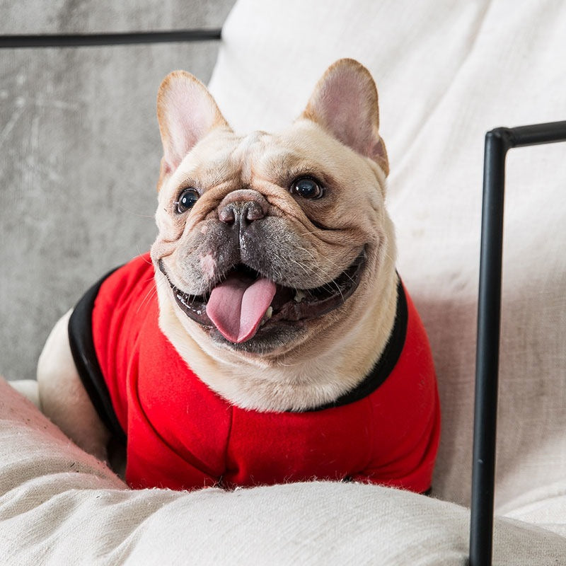Bulldog & Small Dog Autumn Winter Jacket - Badge Design